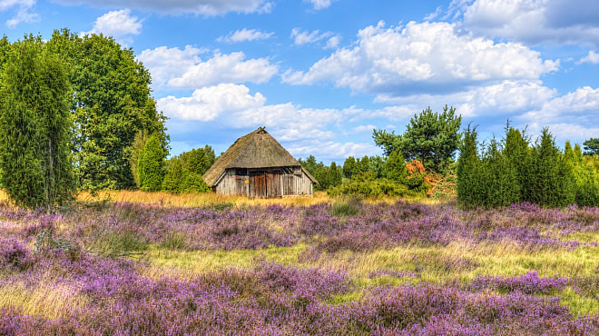 Kleine Auszeit Anreise Mo-Do in Hodenhagen  - Hotel am Park Lüneburger Heide